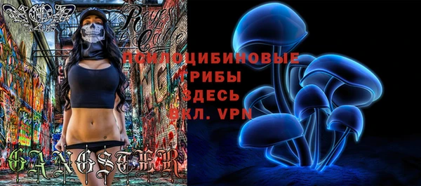 ECSTASY Заволжск