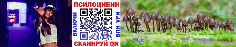 Псилоцибиновые грибы мицелий  Купить  Дигора 