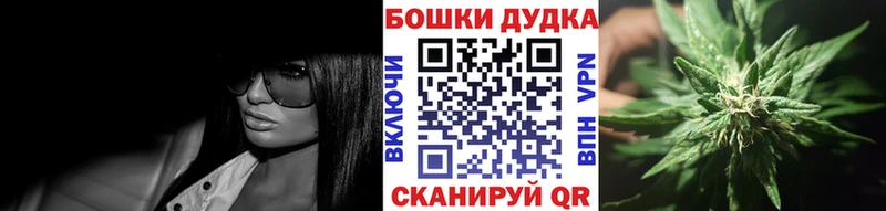 Купить где  Дигора  Каннабис план 
